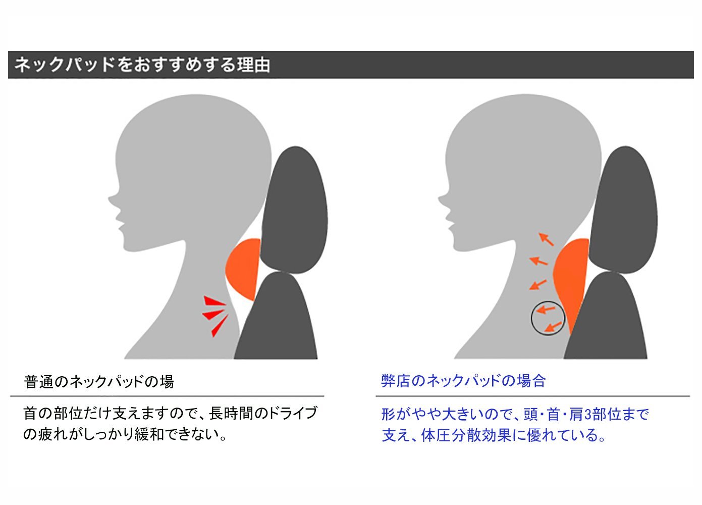 動物画像無料 Hd限定車 クッション かっこいい 動物画像無料 Hd限定車 クッション かっこいい