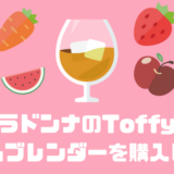 ラドンナのToffy ホームブレンダーを購入した話