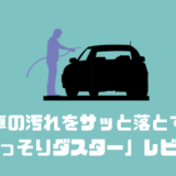 車の汚れをサッと落とす 「ごっそりダスター」レビュー